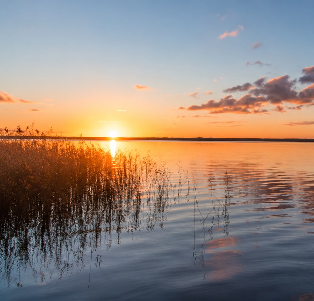 Sonnenuntergang über dem Saaler Bodden bei Dierhagen, Schilfgürtel und spiegelglattes Wasser im Abendlicht