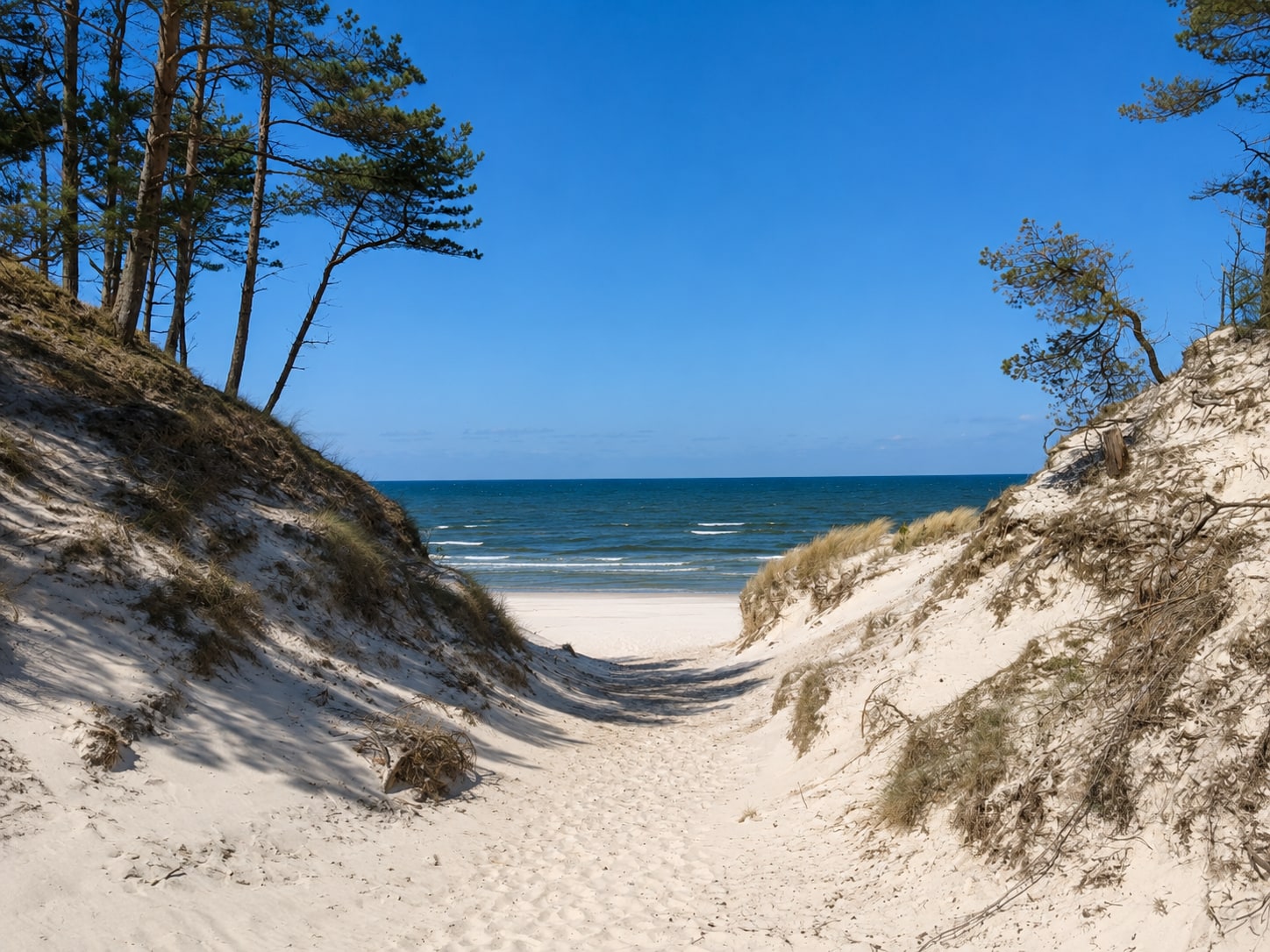 Dünendurchgang bei Dierhagen: Sandweg zwischen Kiefern und Dünen mit Blick auf die Ostsee