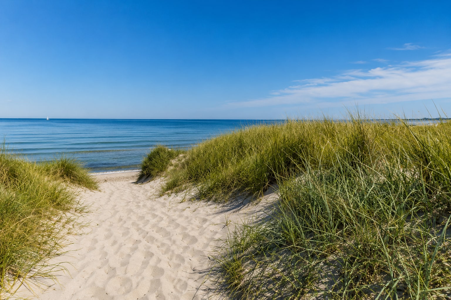 Dünenweg in Dierhagen Ost, gesäumt von Strandhafer, mit Blick auf die offene Ostsee